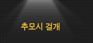 전시작품보기