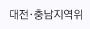 대전충남지역위