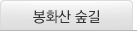 봉화산 숲길