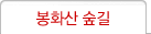 봉화산 숲길